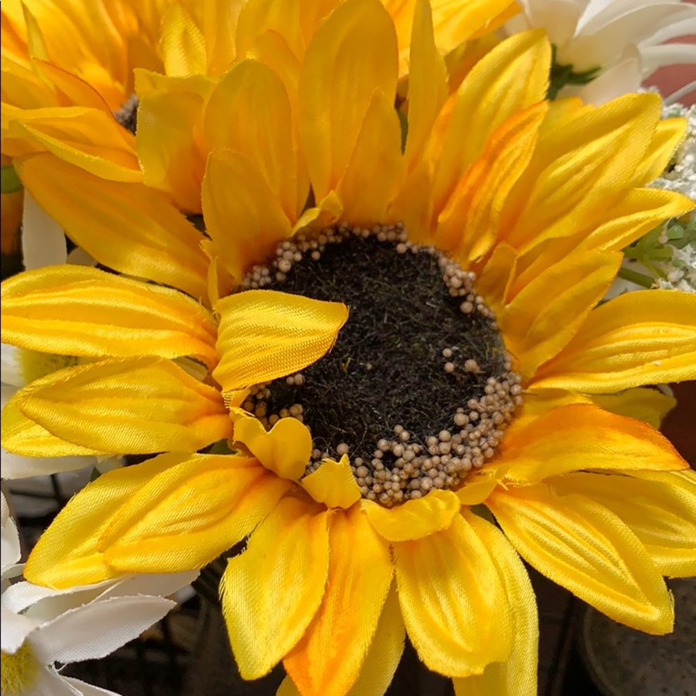 Meet your Posher, Brittney